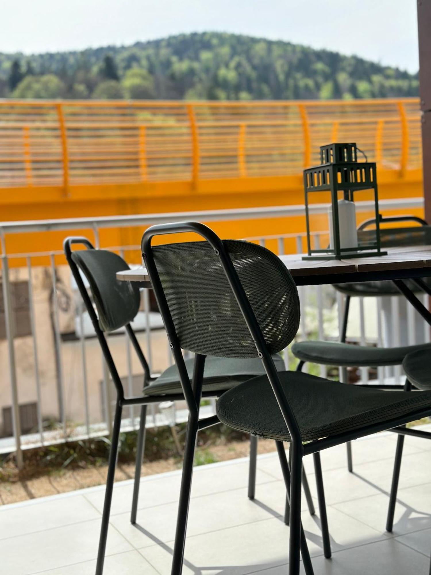 Dream Garden Apartment With Free Parking Sinaia Zewnętrze zdjęcie