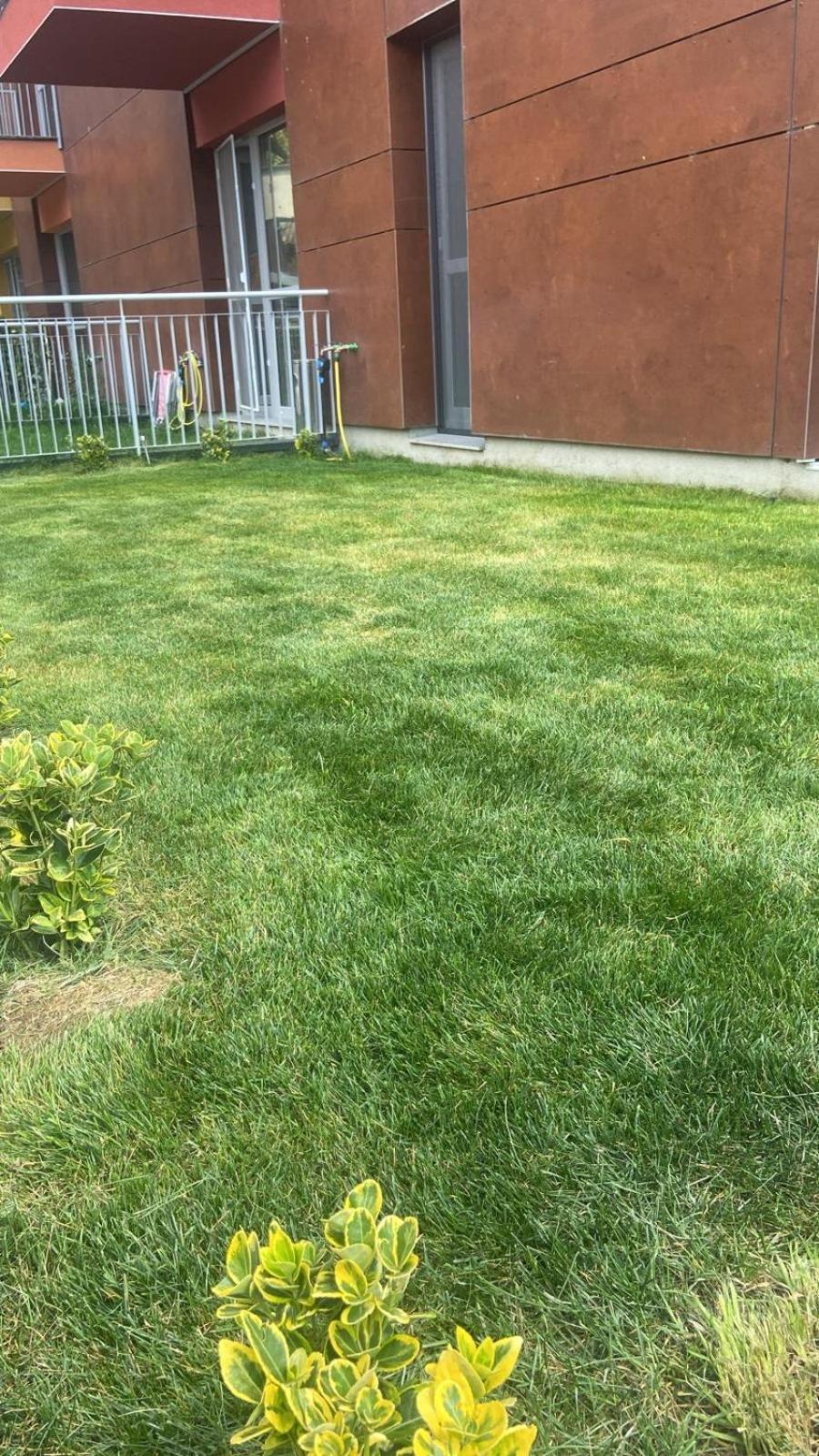 Dream Garden Apartment With Free Parking Sinaia Zewnętrze zdjęcie
